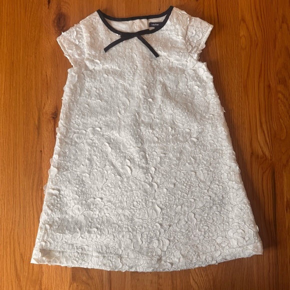 GAP Other - Baby Gap Ribbon Rose Embroidered Dress White Special Occasion Size 4T